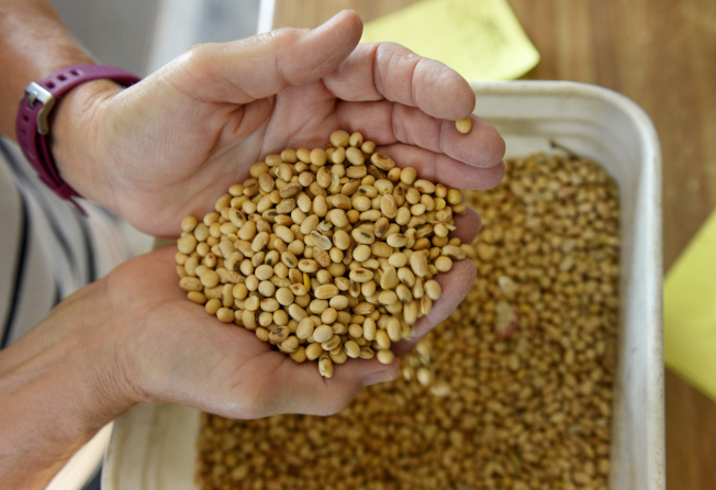 消息人士透露，中國今年向美國進口的黃豆總量可能達到4000萬噸。路透