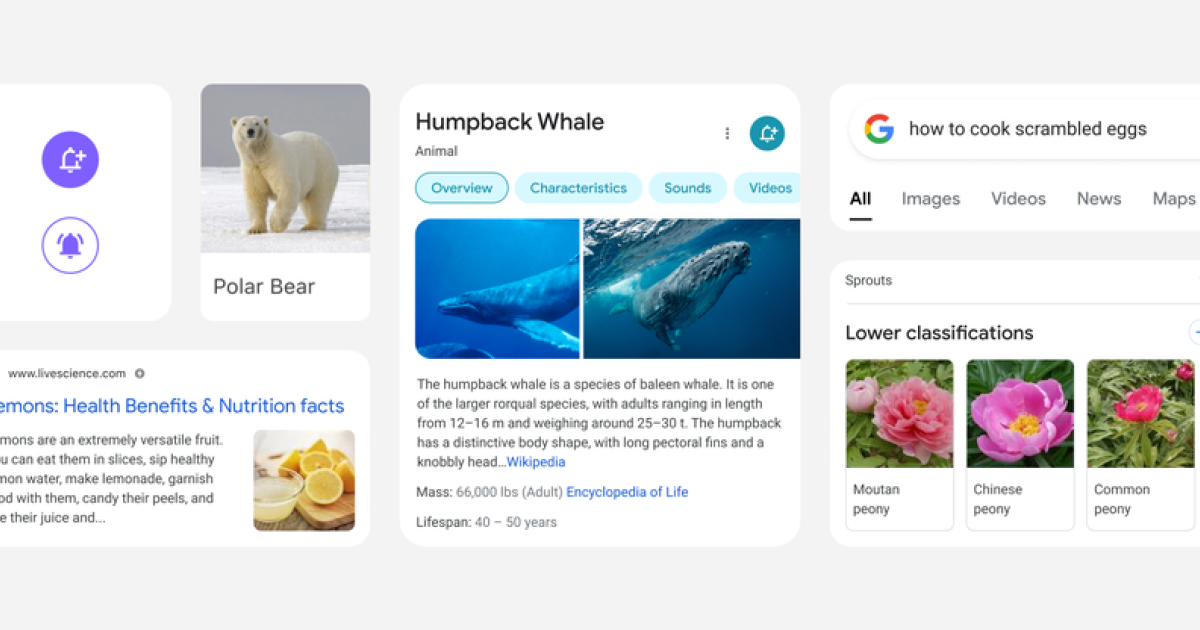 Google ändert Design der mobilen Suche