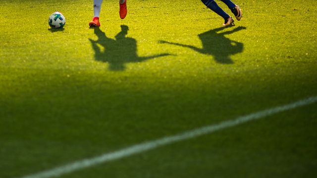 Münchner "Löwen" mit 1:0 im Aufstiegsrennen der 3. Liga