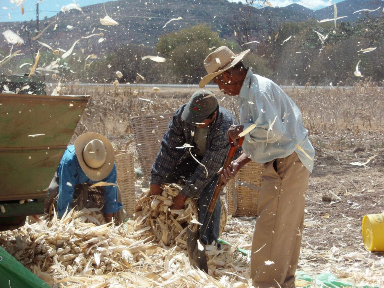 México y EU impulsarán intercambio comercial agroalimentario • Forbes México