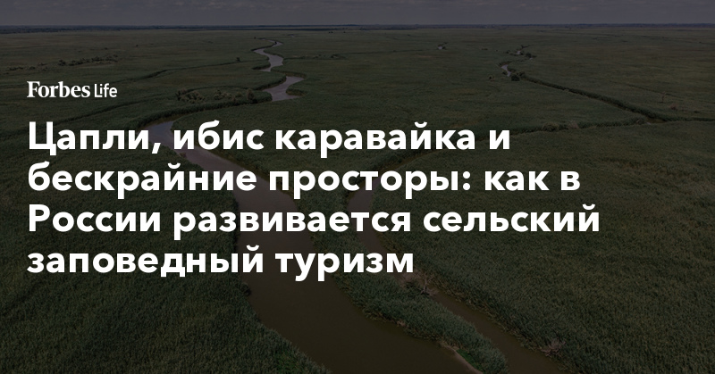 Цапли, ибис каравайка и бескрайние просторы: как в России развивается сельский заповедный туризм