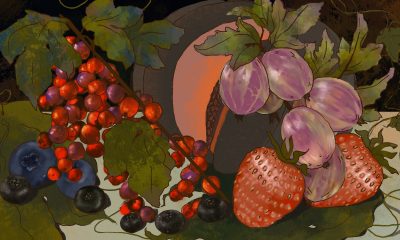 Сезонні ягоди: від полуниць до малини. Пояснюємо, як обрати, зберігати, заготовити на зиму - Фото