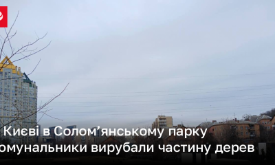 У Києві в Солом’янському парку комунальники вирубали частину дерев | Новини України