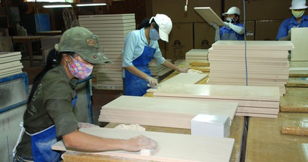 Điều tra 6 công ty gỗ làm khống hồ sơ để hàng hóa