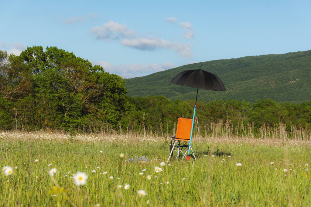 Best Portable Umbrellas for Plein Air Drawing and Painting – ARTnews.com