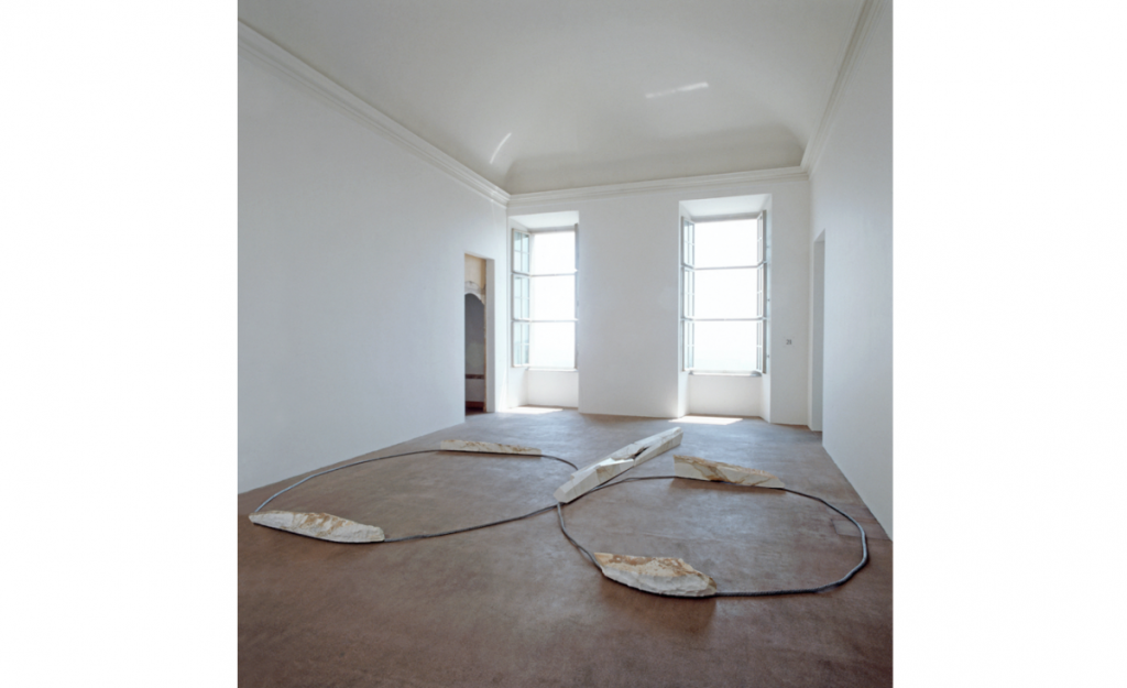 Paula Cooper Gallery to Represent Luciano Fabro Estate – ARTnews.com